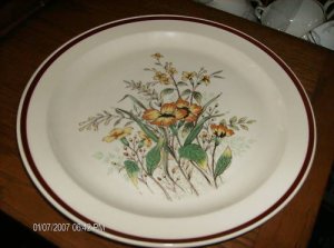 USS Desert Flowers #1055 Dinner Two Plates Beautiful