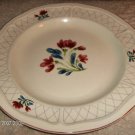 5 Tienshan Stoneware Countryfleur Dinner Plates