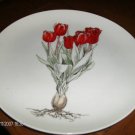Mann Fine China Two Tulip Plates! Very Nice!!!!