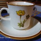 Mikasa Natural Beauty SouthernSun 9006 Cup,+Saucer Sets
