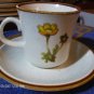 Mikasa Natural Beauty SouthernSun 9006 Cup,+Saucer Sets