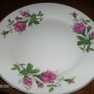 China Rose Two Salad Plates  Very Nice!