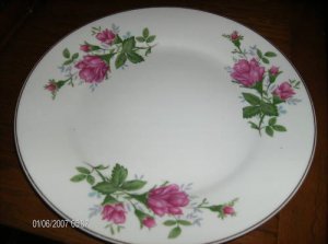 China Rose Two Dinner Plates  Very Nice!