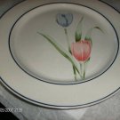 Four Newcor Stoneware Alice #671 Dinner Plates  Nice