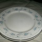 International Porcelain (8301) Havershire Salad Plates