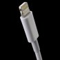 Protable EU Plug Travel AC Power Charger for iPhone 5 - White