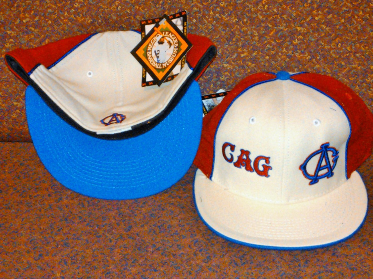 chicago american giants hat