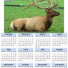 2014 calendar toolbox magnet refrigerator magnet Deer #1