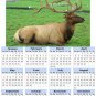 2014 calendar toolbox magnet refrigerator magnet Deer #1