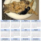 2014 calendar toolbox magnet refrigerator magnet Cats #6