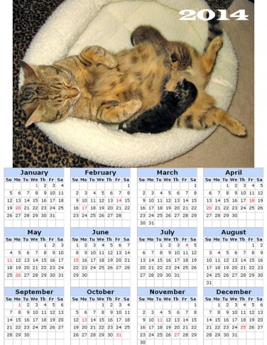 2014 calendar toolbox magnet refrigerator magnet Cats #6