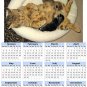 2014 calendar toolbox magnet refrigerator magnet Cats #6