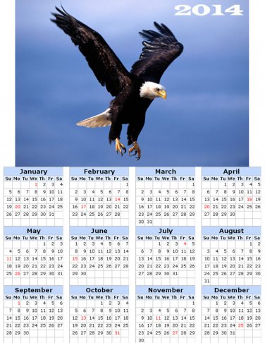 2014 calendar toolbox magnet refrigerator magnet Birds #3