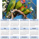 2014 calendar toolbox magnet refrigerator magnet Birds #6