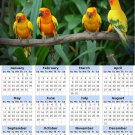 2014 calendar toolbox magnet refrigerator magnet Birds #7