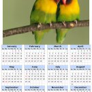 2014 calendar toolbox magnet refrigerator magnet Birds #9
