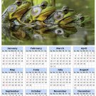 2014 calendar toolbox magnet refrigerator magnet Frogs #5