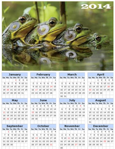 2014 calendar toolbox magnet refrigerator magnet Frogs #5