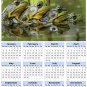 2014 calendar toolbox magnet refrigerator magnet Frogs #5
