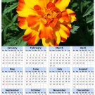 2014 calendar toolbox magnet refrigerator magnet Flowers #4