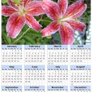2014 calendar toolbox magnet refrigerator magnet Flowers #7