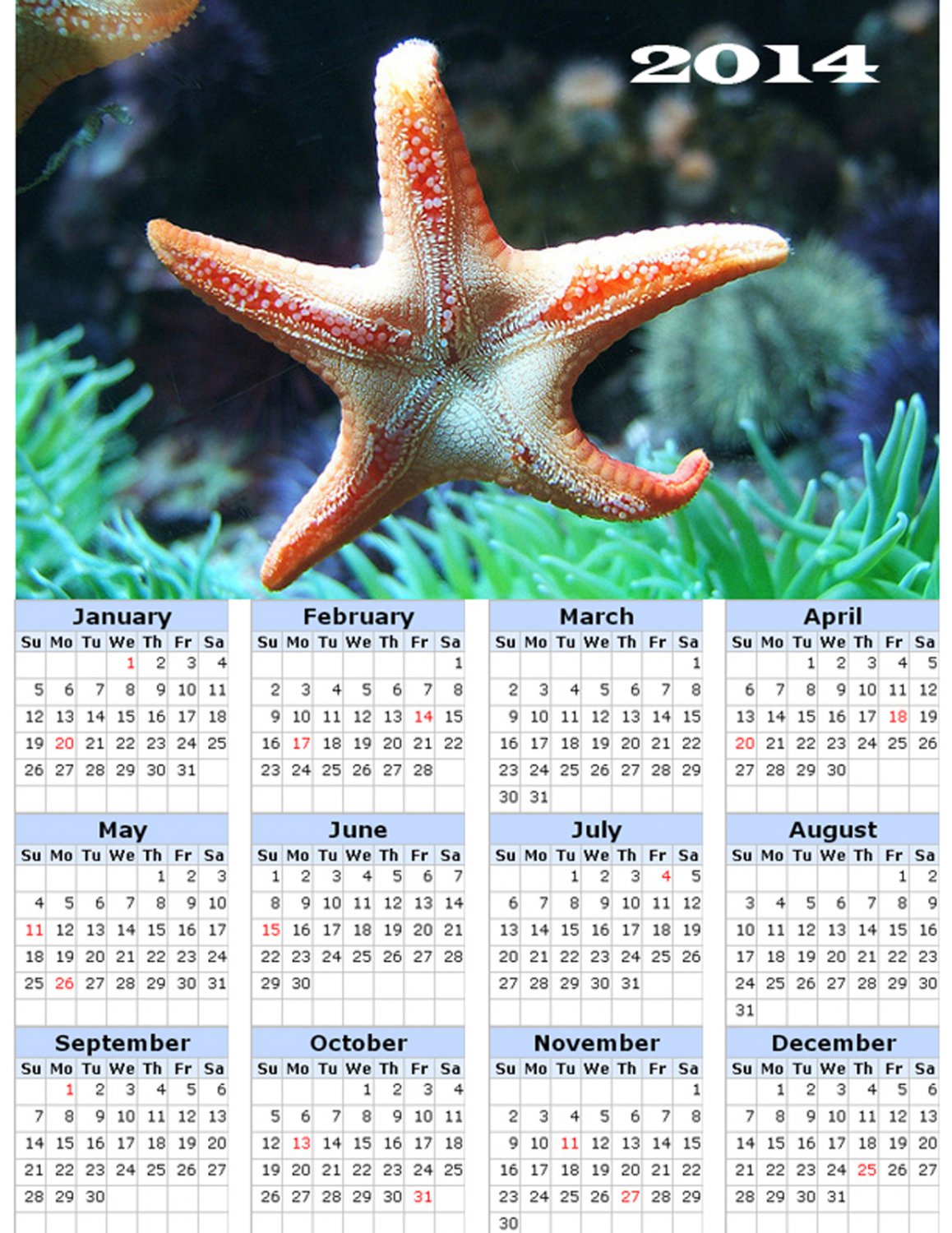 2014 calendar toolbox magnet refrigerator magnet Ocean Life #5