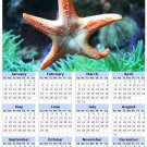 2014 calendar toolbox magnet refrigerator magnet Ocean Life #5