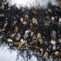 Black fun fur scarf