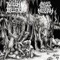 Krotchripper / Mass Murder Messiah