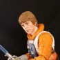 SS Hoth Luke(Fitted for Black Series, Hand Painted, Head Only)(Sale!)