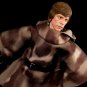 ROTJ Luke(Hand Painted, Head Only, Fitted to Endor Black Series)(Sale!)