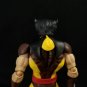 (Fanplastic Original)Classic Wolverine Head(Hand Painted, Fitted for MAFEX, Head Only)