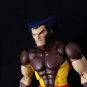 (Fanplastic Original) Jim Lee Logan Head(Hand Painted, Fitted for MAFEX, Head Only)(Sale!)
