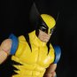 (Fanplastic Original) Jim Lee Calm Wolverine Head(Hand Painted, Fitted for 80th Legends, Head Only)