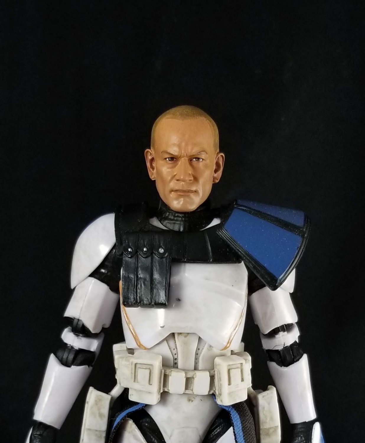 HT Rex(Hand Painted, Head Only, Fitted For Black Series)(Sale!)