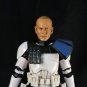 HT Rex(Hand Painted, Head Only, Fitted For Black Series)(Sale!)