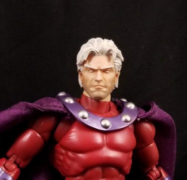 Toymankid Magneto(Hand Painted, Fitted for Legends, Head Only)