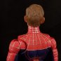 NWH Toby(Hand Painted, Head Only, Fitted For Legends)(Sale!)