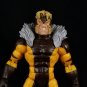 Sabertooth(Hand Painted, Fitted for Legends, Head Only)(Sale!)