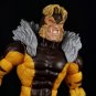 Sabertooth(Hand Painted, Fitted for Legends, Head Only)