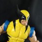 (Fanplastic Original) Byrne Angry Wolverine Head(Hand Painted, Fitted for 80th Legends, Head Only)