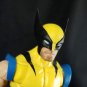 (Fanplastic Original) Byrne Calm Wolverine Head(Hand Painted, Fitted for 80th Legends, Head Only)