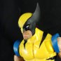 (Fanplastic Original) Byrne Calm Wolverine Head(Hand Painted, Fitted for 80th Legends, Head Only)