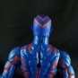 STL Customs Angry Warren(Hand Painted, Head Only, Fitted to Legends)