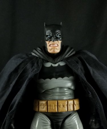 STL Customs Angry Bats(Hand Painted, Fitted for Mafex, Head Only)