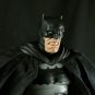 STL Customs Angry Bats(Hand Painted, Fitted for Mafex, Head Only)