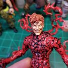 (HUPStudios)Cletus(Hand Painted, Fitted for Legends, Head Only)