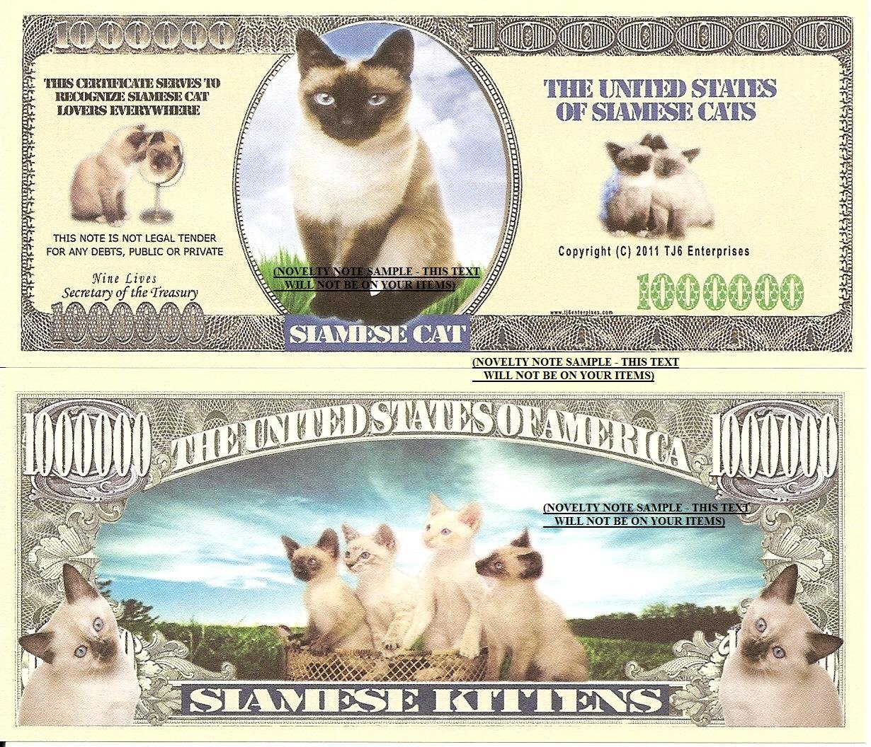 Siamese Cats and Kittens Million Dollar Bills x 2 New