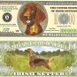 Irish Setter Dog Lover One Million Dollar Bills x 2 Gift