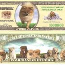 Pomeranian Dogs and Puppies Million Dollar Bills x 2